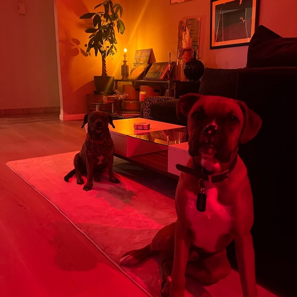 Meet your posher! 💌 - Picture 3 of 9